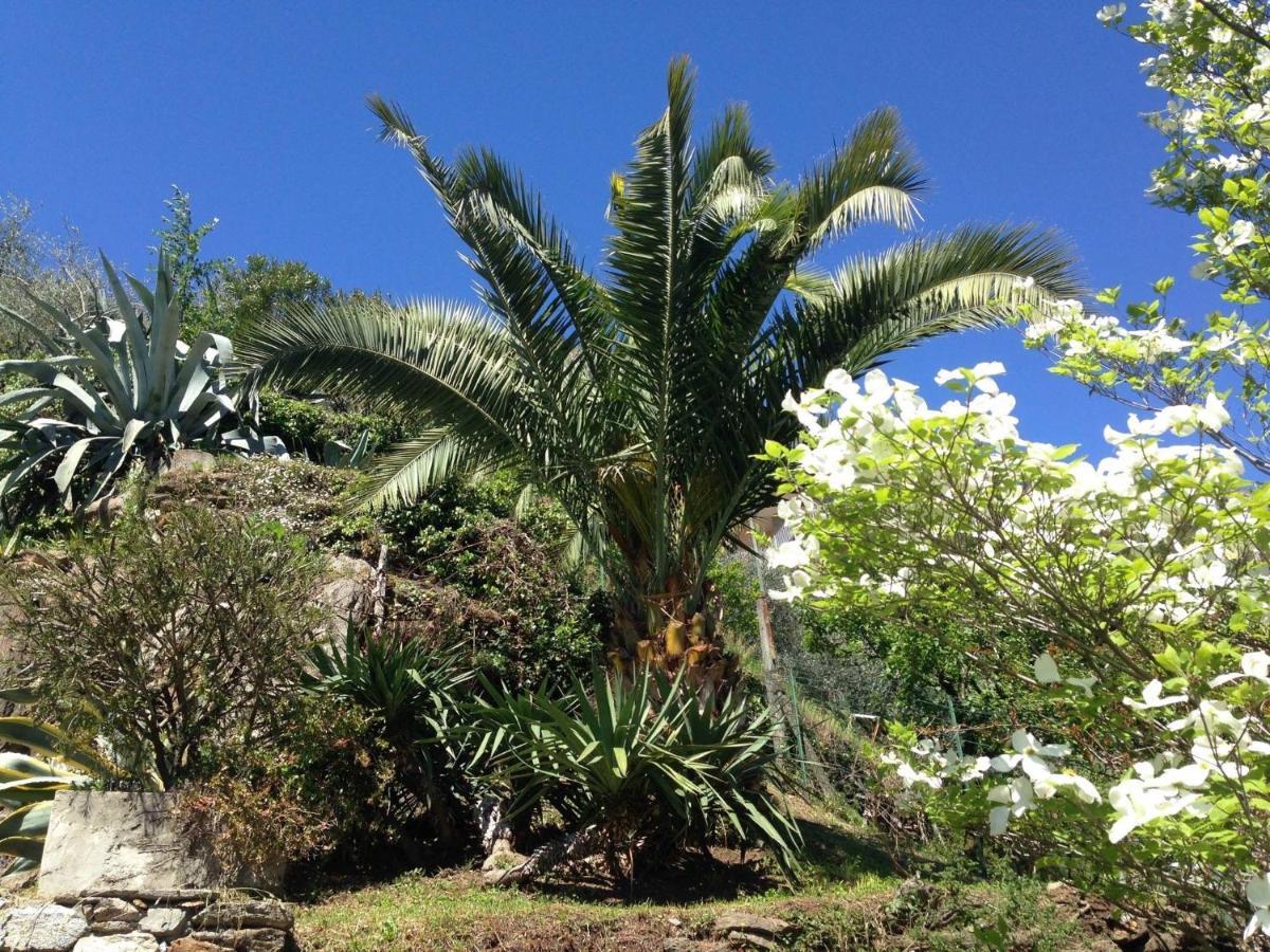 Appartamento Residenza La Pianca Musso Esterno foto